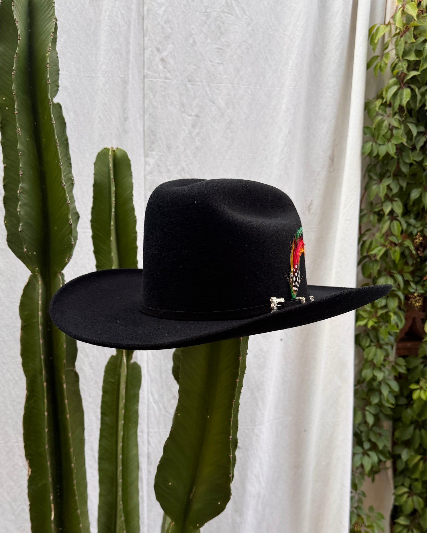 Rancher