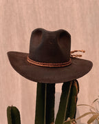 Arthur Morgan 2.0
