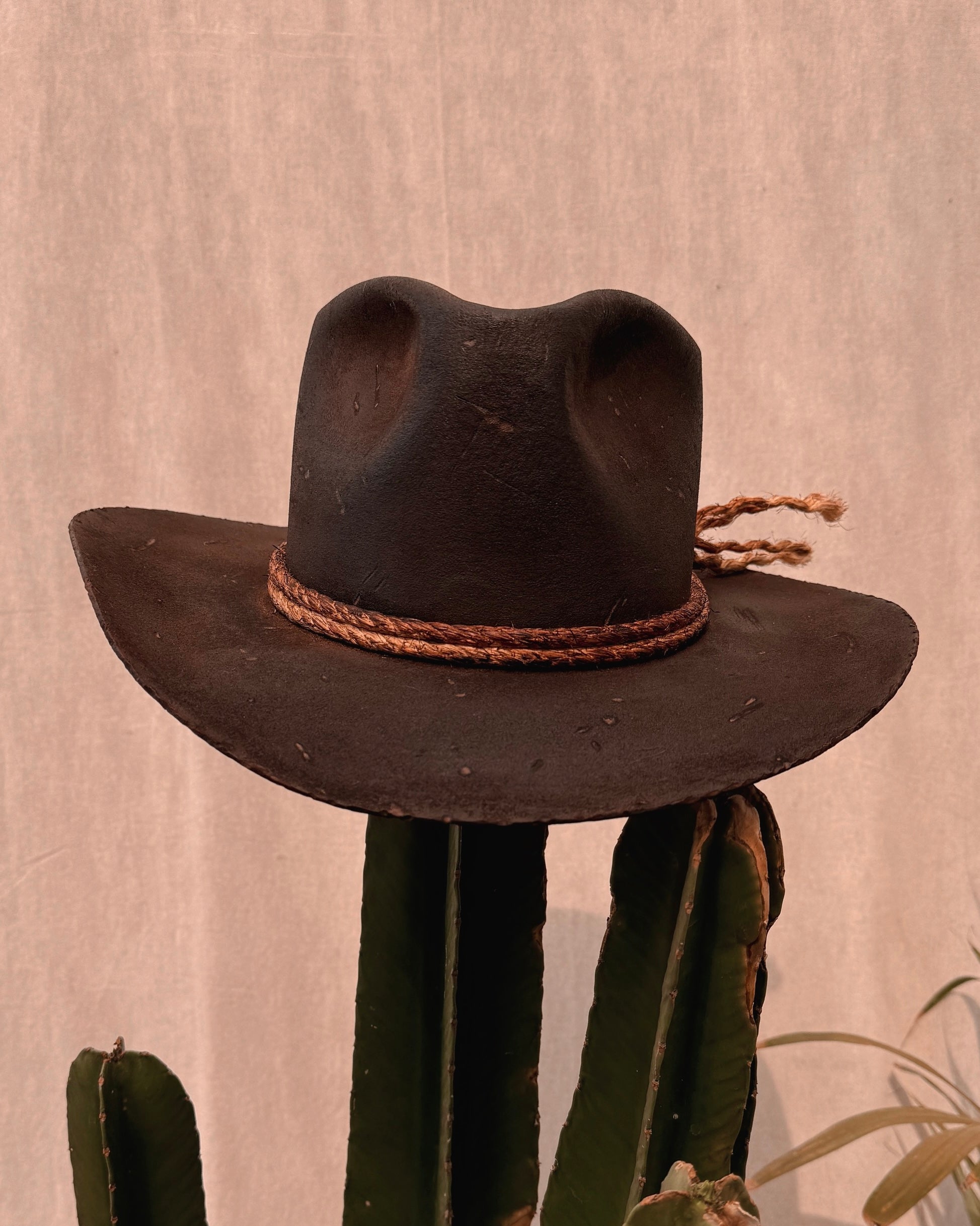 Arthur Morgan 2.0