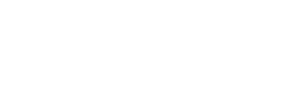 Handsome Devil Co.